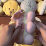Pastel Bubble Squishy — animated squeeze demonstration