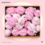 Piggy Candy Squishy — Popmello designed main image based on actual product footage