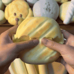 Striped Bun Squishy — animated squeeze demonstration